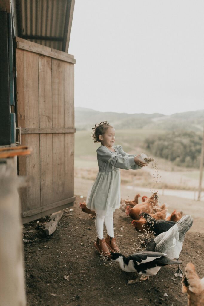 Gentle Homesteading Begins at Home